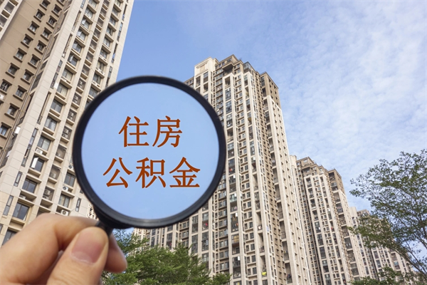 威海离职后公司不给转公积金怎么办（离职后公司不给转社保怎么办）